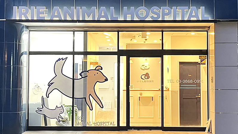 動物病院施工例